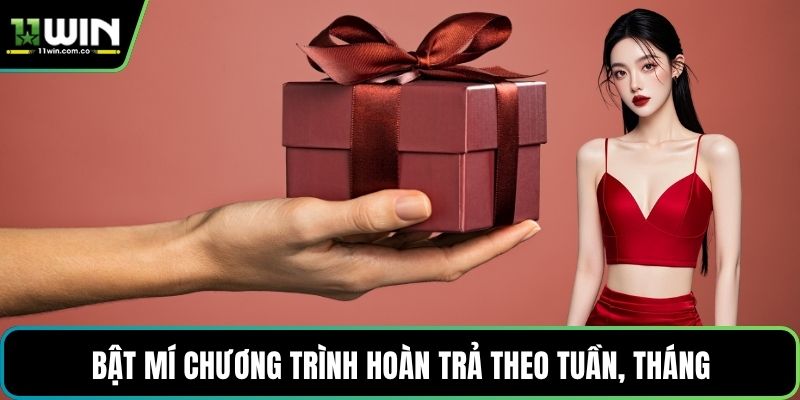 Bật mí chương trình hoàn trả theo tuần, tháng