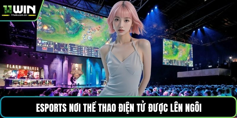 Esports nơi thể thao điện tử được lên ngôi