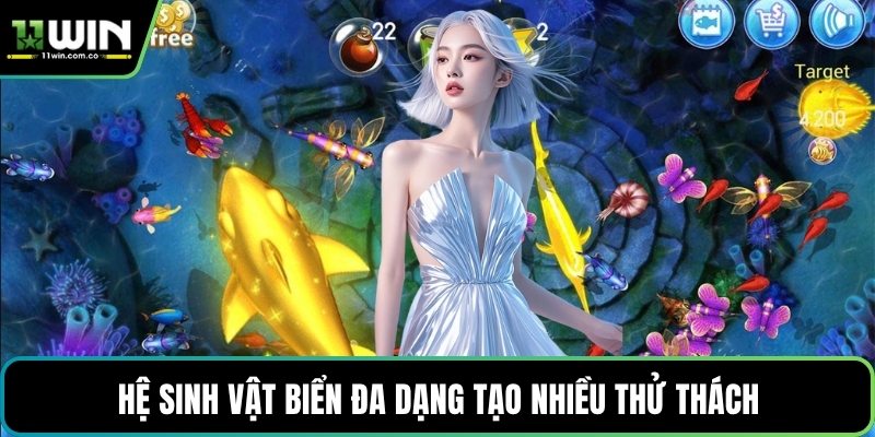 Hệ sinh vật biển đa dạng tạo nhiều thử thách