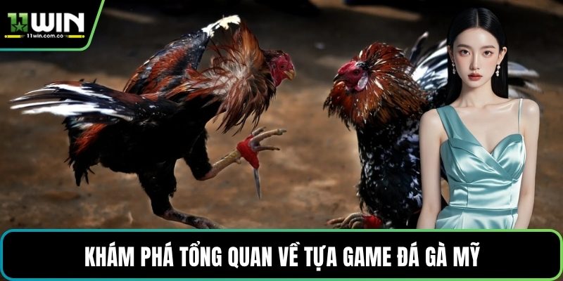 Khám phá tổng quan về tựa game Đá gà Mỹ