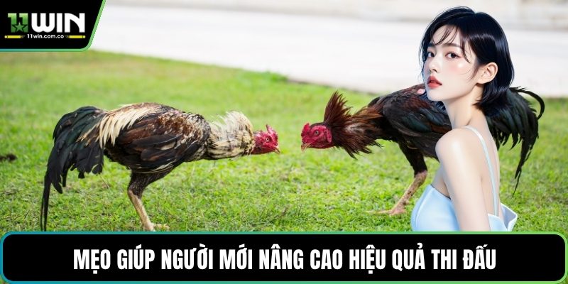 Mẹo giúp người mới nâng cao hiệu quả thi đấu