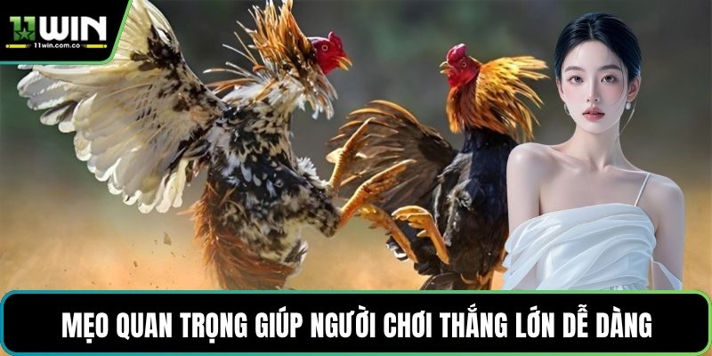 Mẹo quan trọng giúp người chơi thắng lớn dễ dàng
