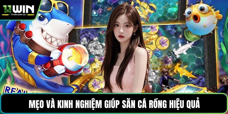Mẹo và kinh nghiệm giúp săn cá rồng hiệu quả