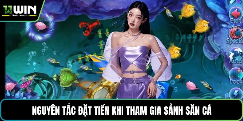 Nguyên tắc đặt tiền khi tham gia sảnh săn cá