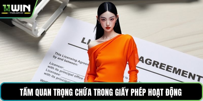 Tầm quan trọng chứa trong giấy phép hoạt động