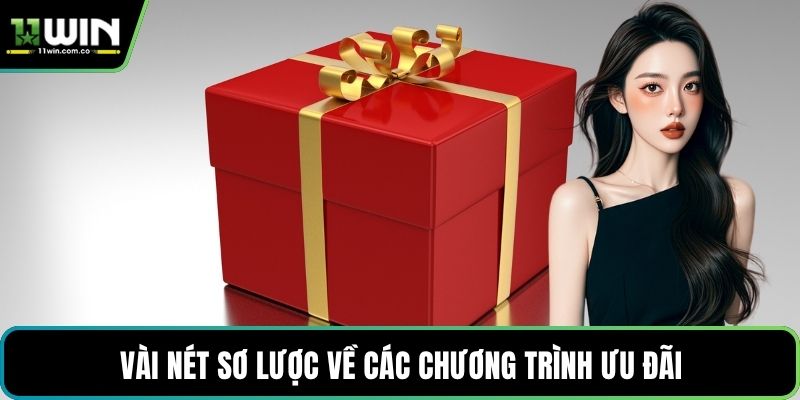 Vài nét sơ lược về các chương trình ưu đãi